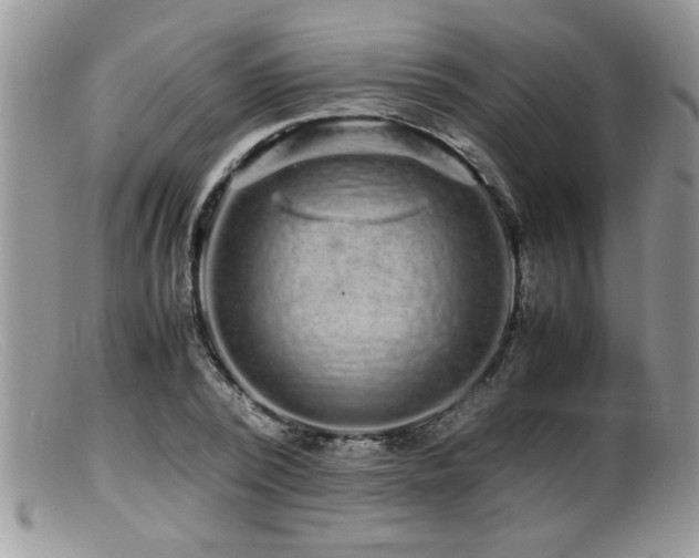 X0000099510784200805151458