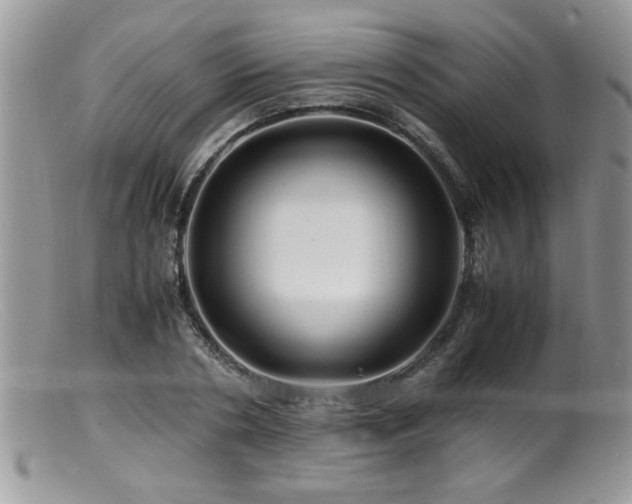 X0000099510786200805151458
