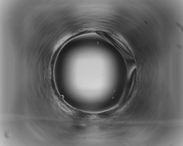 X0000099510787200805151458