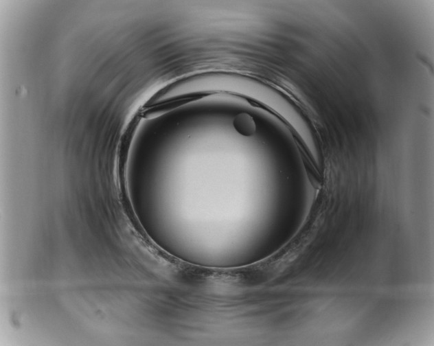 X0000099510788200805151458
