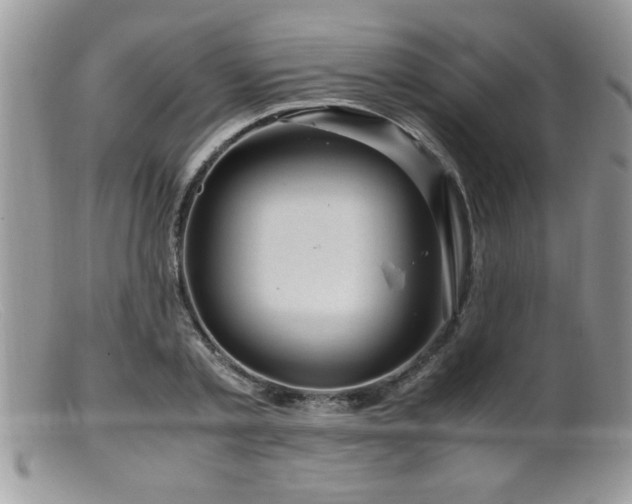 X0000099510789200805151458