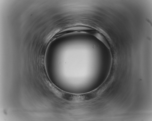 X0000099510793200805151458