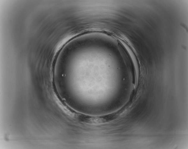 X0000099510795200805151458
