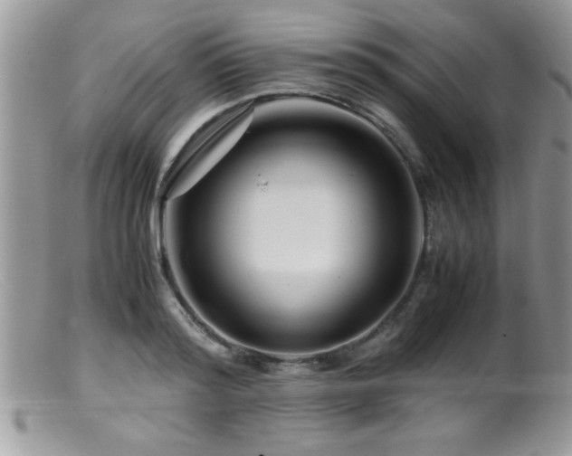X0000099510796200805151458