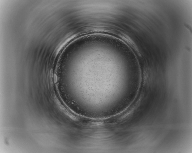 X0000099510798200805151458