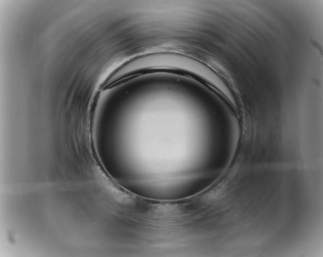 X0000099510800200805151458