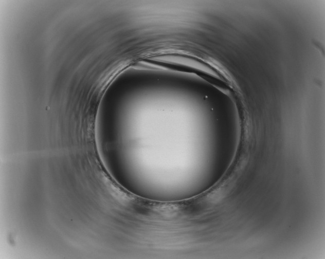 X0000099510801200805151458