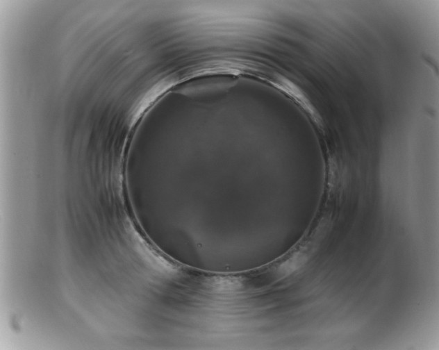 X0000099510802200805151458