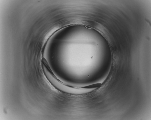 X0000099510804200805151458