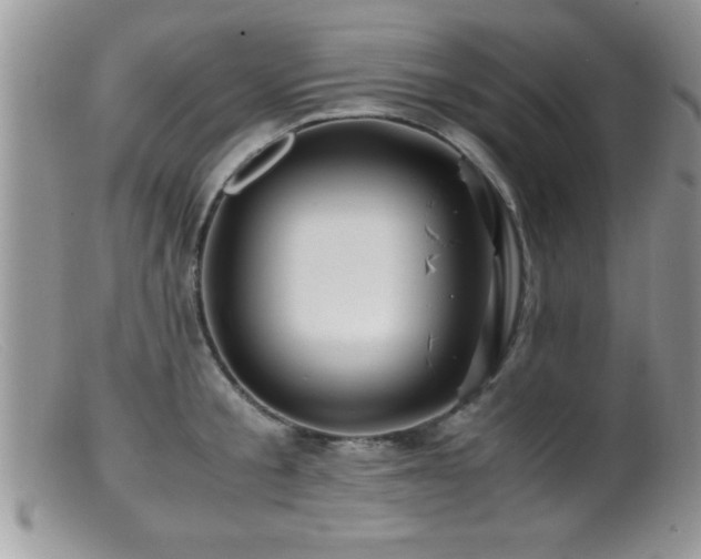 X0000099510805200805151458