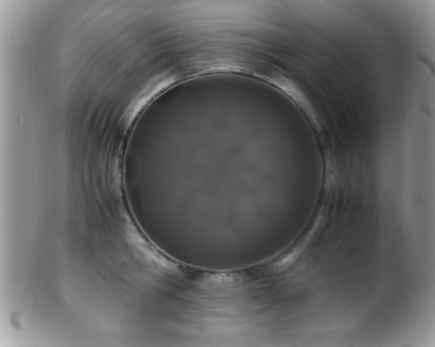 X0000099510806200805151458