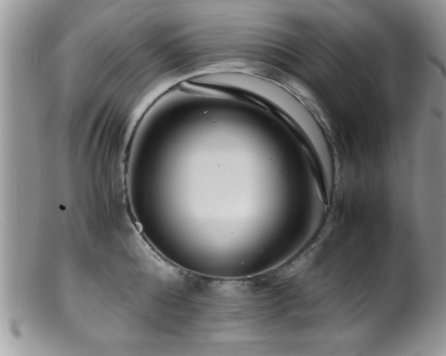 X0000099510808200805151458