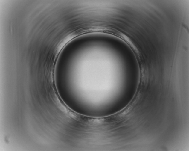 X0000099510810200805151458