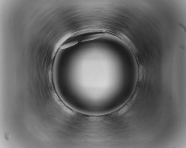 X0000099510812200805151457