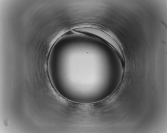X0000099510813200805151457