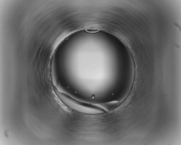 X0000099510816200805151457