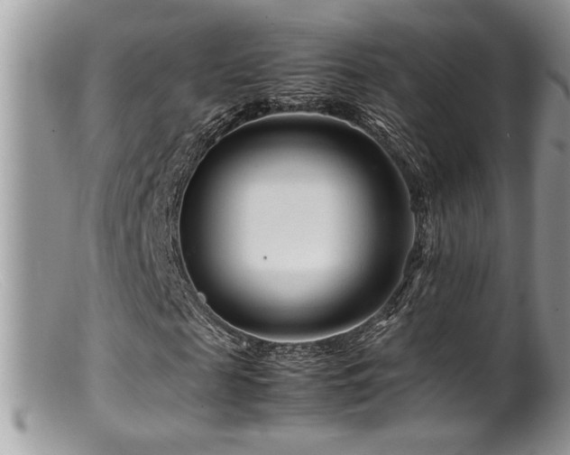 X0000099510817200805151457