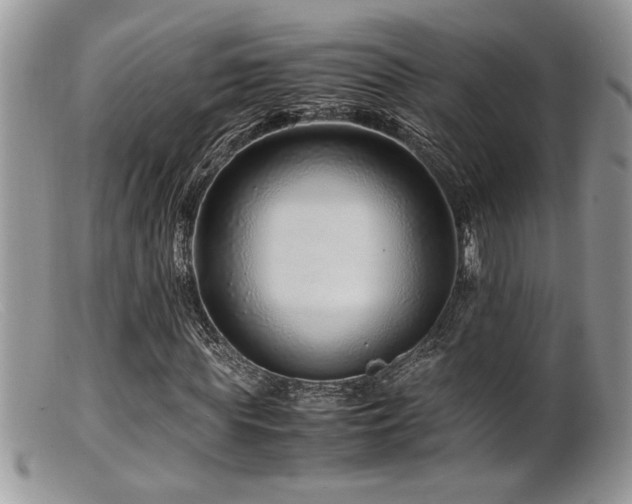 X0000099510819200805151457
