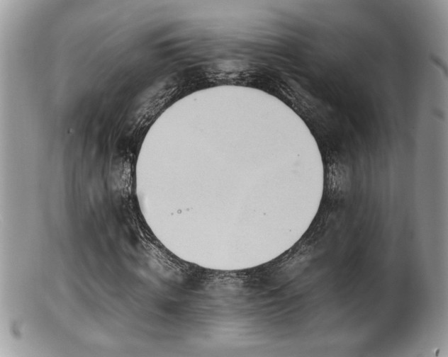 X0000099510820200805151457