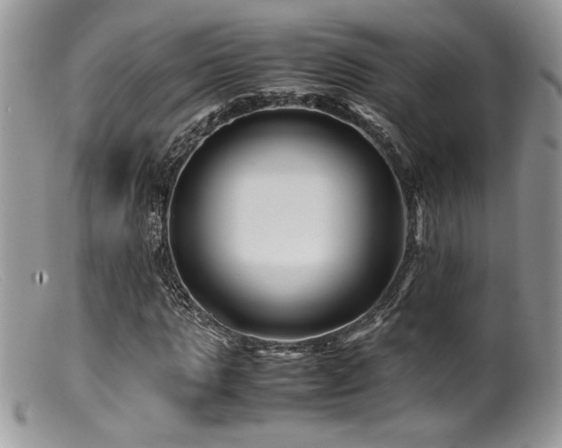 X0000099510821200805151457