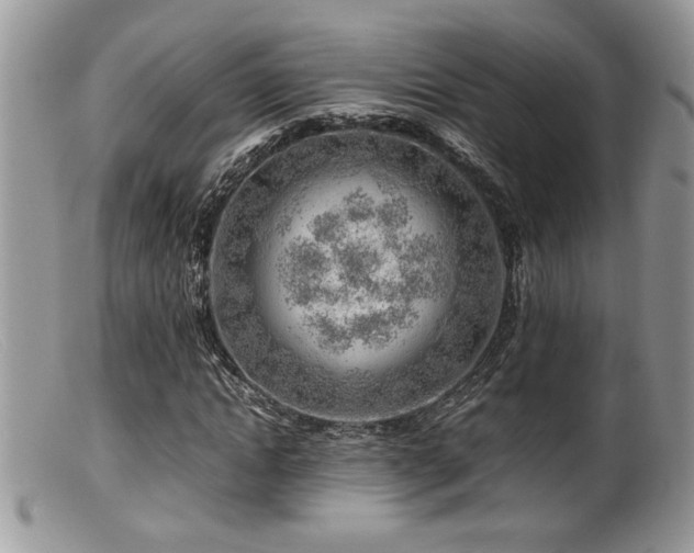 X0000099510822200805151457