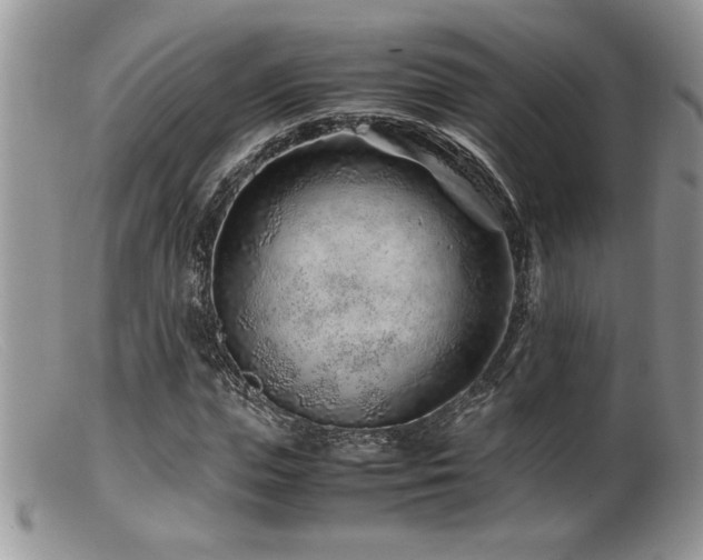 X0000099510823200805151457
