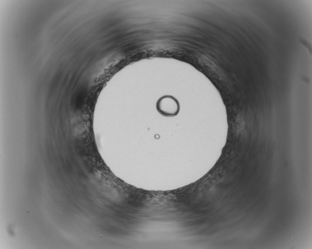 X0000099510824200805151457