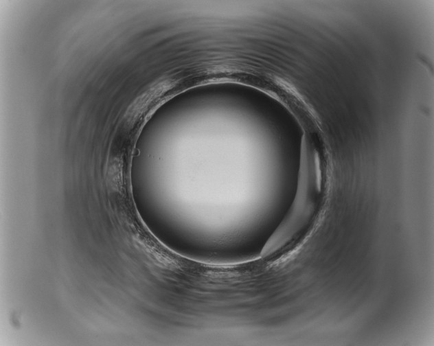 X0000099510825200805151457