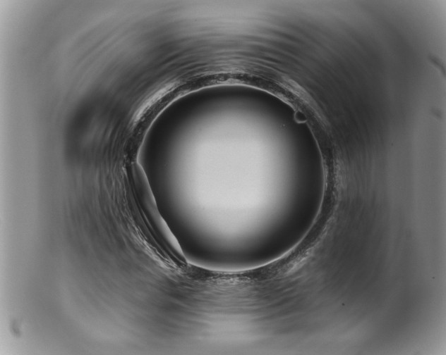 X0000099510826200805151457