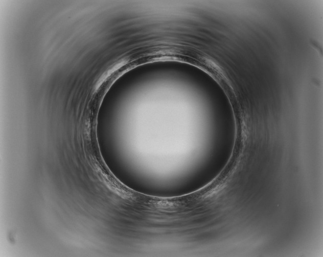 X0000099510827200805151457