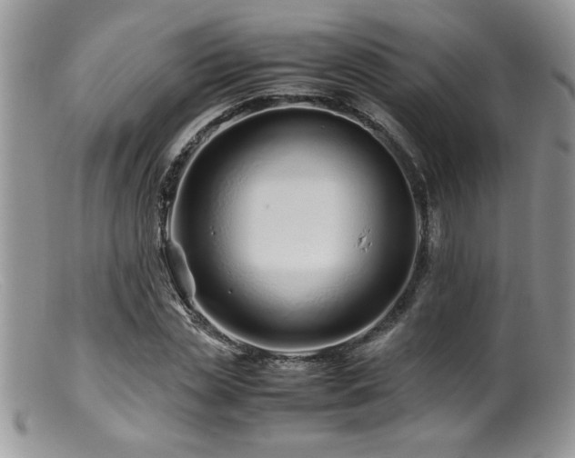 X0000099510829200805151457