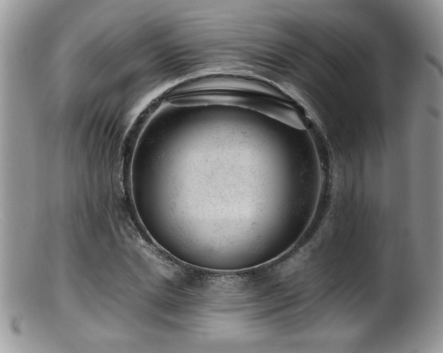 X0000099510830200805151457