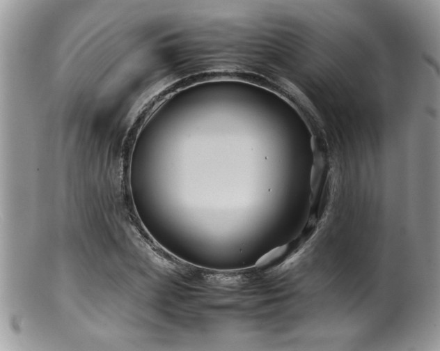 X0000099510831200805151457