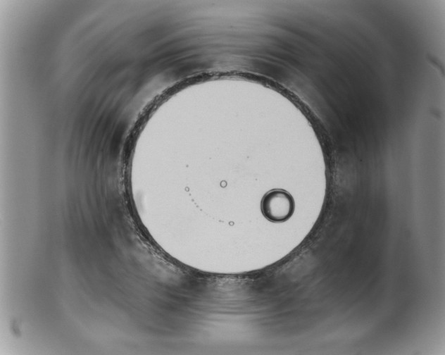 X0000099510832200805151457