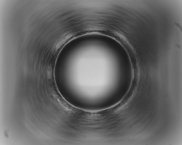 X0000099510833200805151457