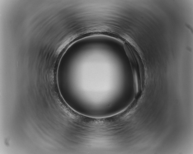 X0000099510834200805151457