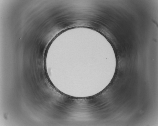 X0000099510836200805151457