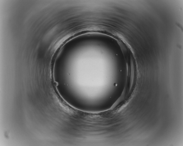 X0000099510837200805151457