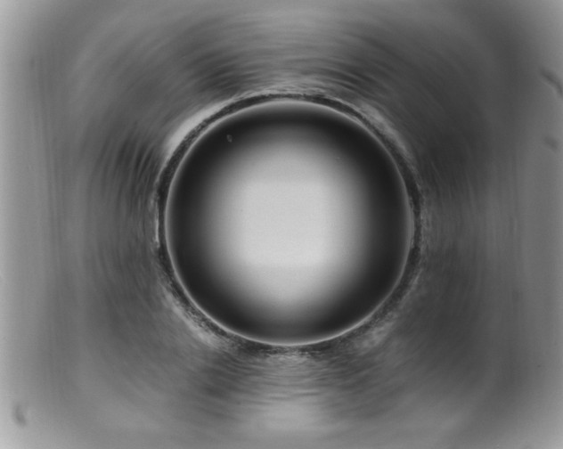 X0000099510838200805151457