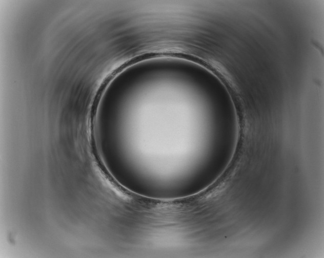 X0000099510840200805151457