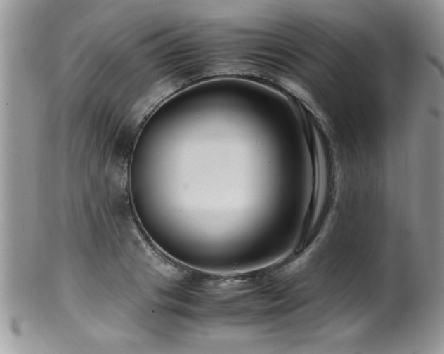 X0000099510841200805151457