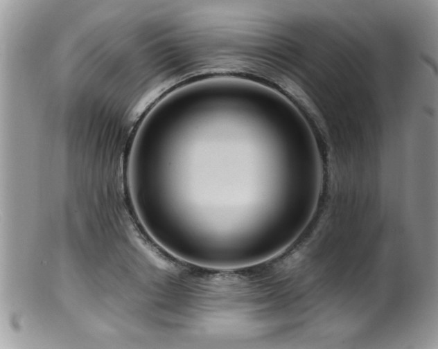 X0000099510842200805151457