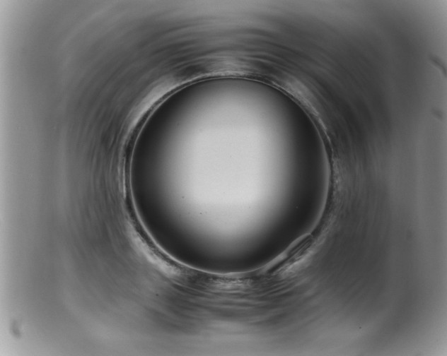 X0000099510843200805151457
