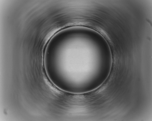 X0000099510844200805151457