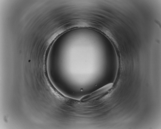 X0000099510845200805151457