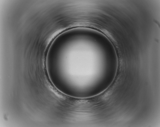 X0000099510846200805151457