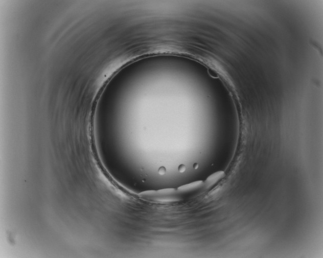 X0000099510847200805151457