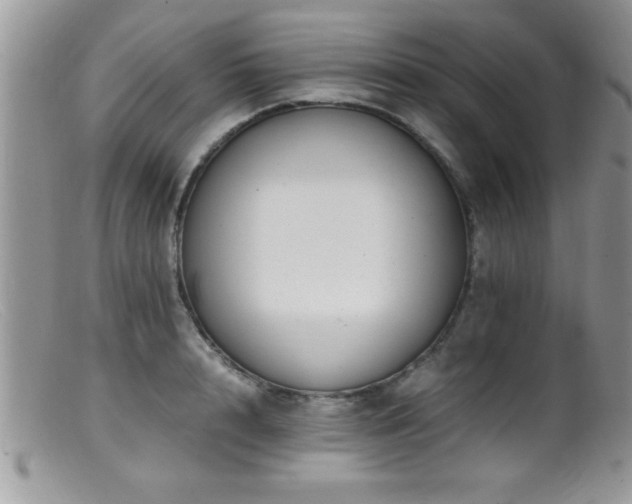 X0000099510848200805151457