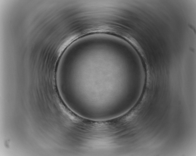 X0000099510850200805151457