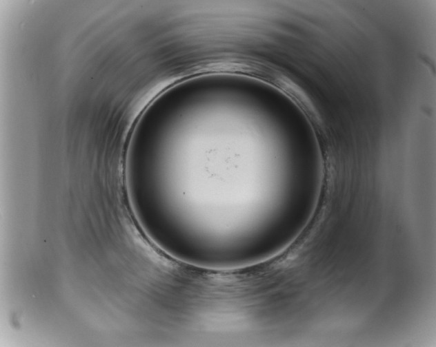 X0000099510852200805151457